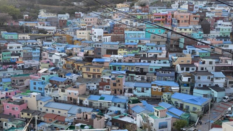 「60代一人暮らし」1年ぶりのブログ更新 